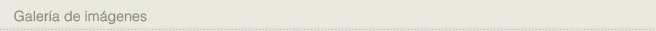Galería de imágenes